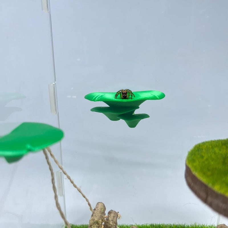 Daerky Jumping Spider Mushroom Shelf, Magnetically Concealed Jumping Spider Habitat,Serves As Enclosure Decorate Accessories for Spider Climbing Feeding and Platforms (Green) - Image 4